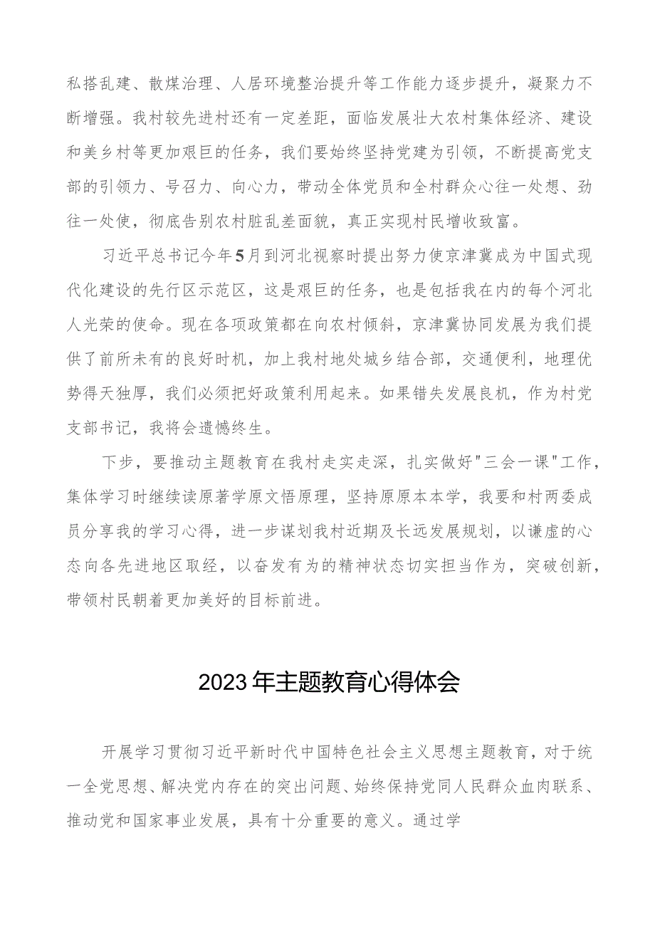 村支部书记关于2023年第二批主题教育心得体会十篇.docx_第2页