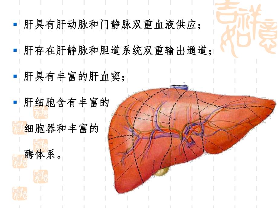 第二十章 肝胆生物化学.ppt_第2页