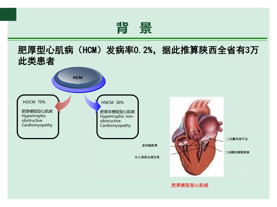 肥厚梗阻型心肌病的外科治疗.ppt_第2页