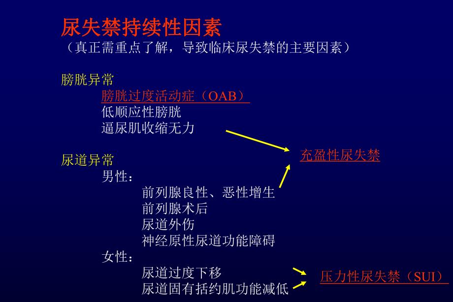 尿失禁分类与治疗.ppt_第3页