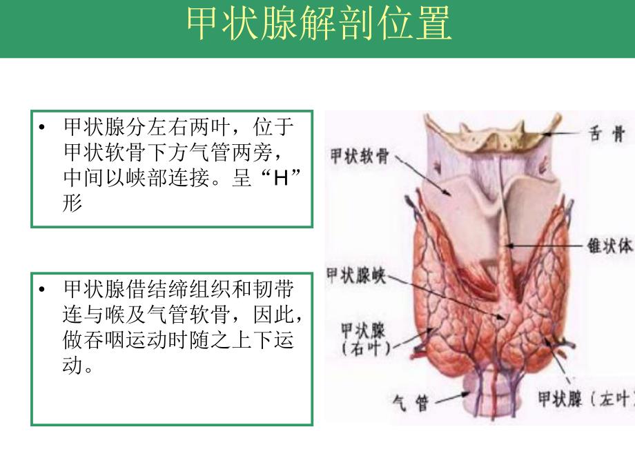 甲状腺手术配合.ppt_第3页