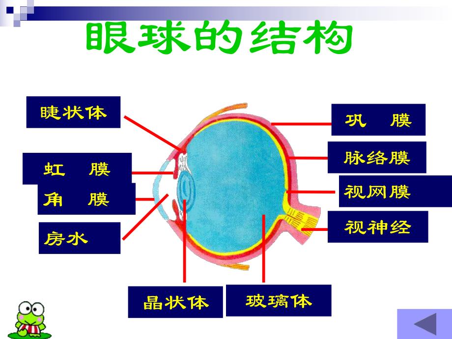 青少近视眼的防治.ppt_第2页