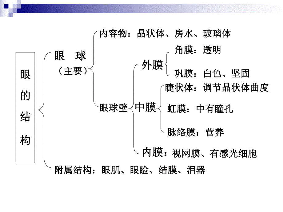 青少近视眼的防治.ppt_第3页