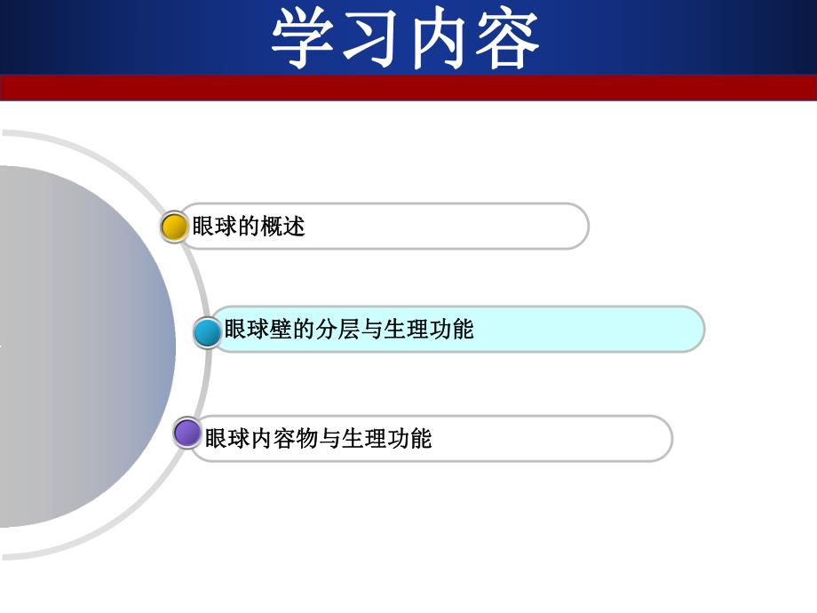 眼球解剖护理水平.ppt1.ppt_第3页