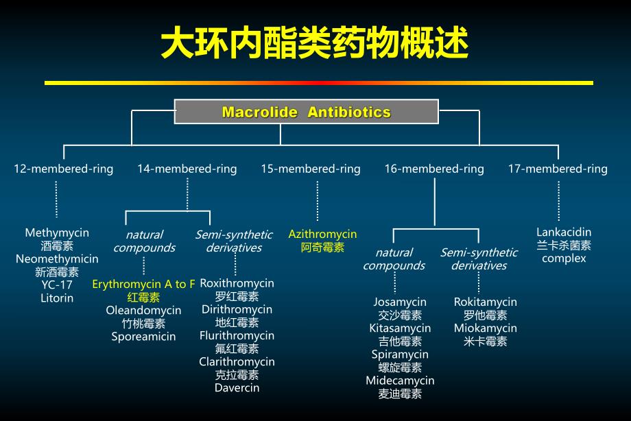 大环内酯类药物的非抗菌效应.ppt_第3页