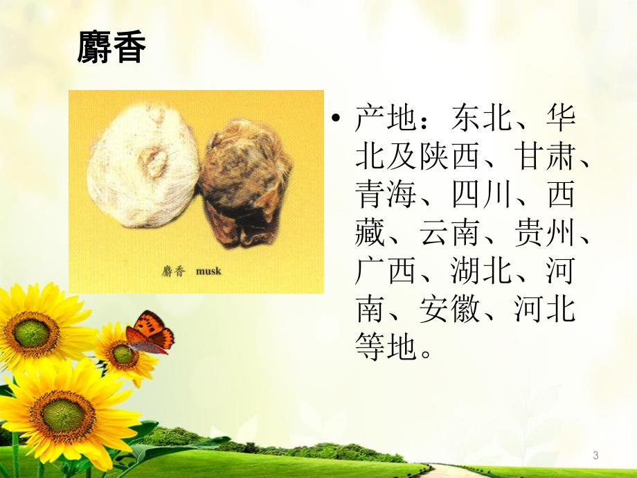 中药之巴豆麝香.ppt_第3页