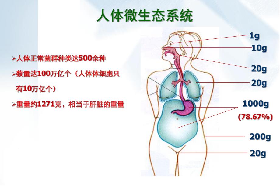 微生态制剂的临床应用.ppt_第2页