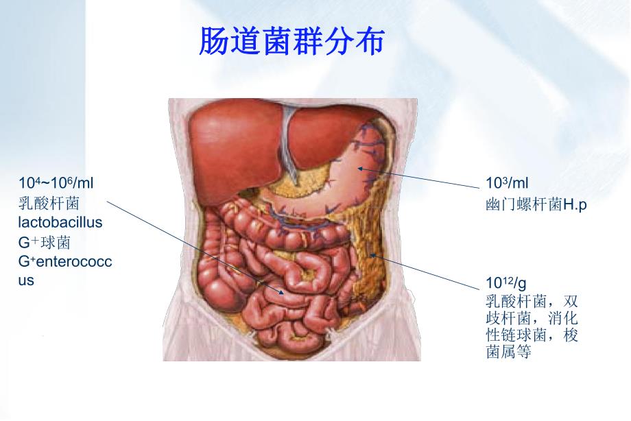 微生态制剂的临床应用.ppt_第3页