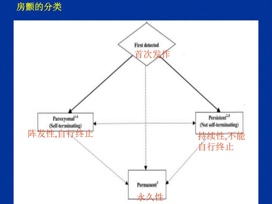 房颤的药物治疗.ppt_第3页