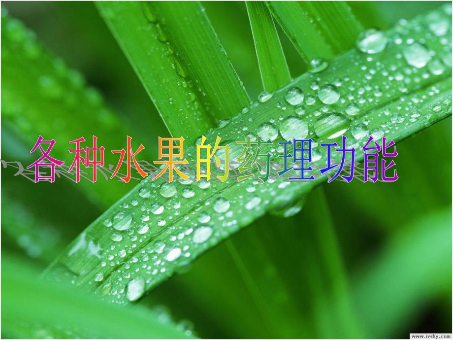 各种水果的药理功效.ppt_第1页