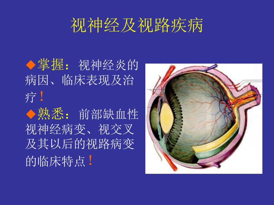 第十五章 视神经及.ppt.ppt_第2页