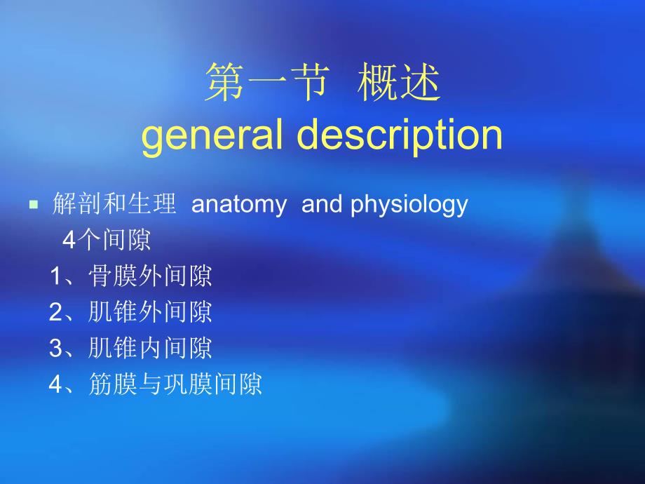 眼科学眼眶病精要.ppt_第2页