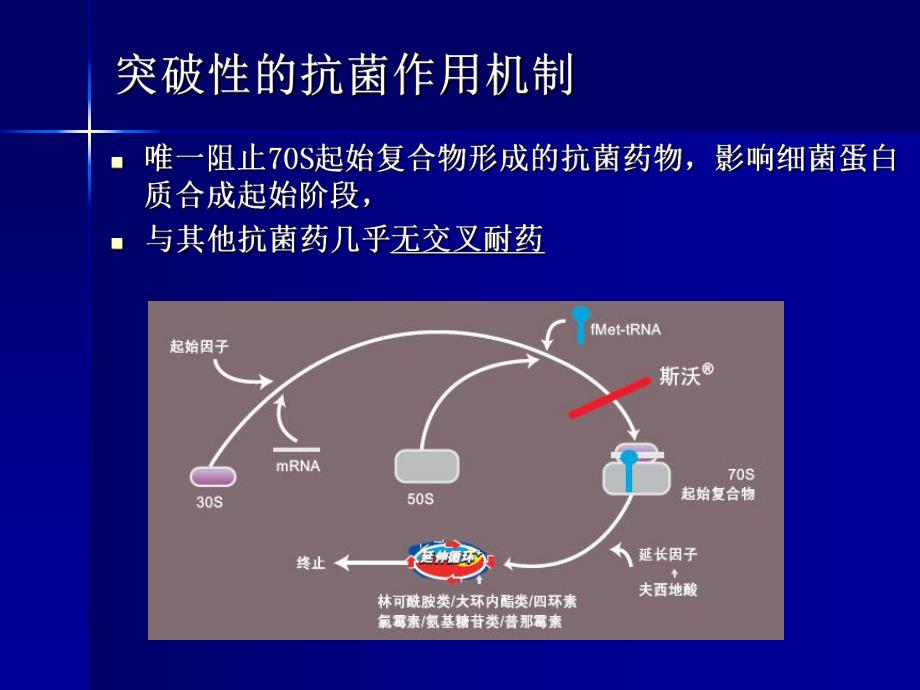 斯沃(利奈唑胺)临床药理及PK PD临床应用与疗效.ppt_第3页