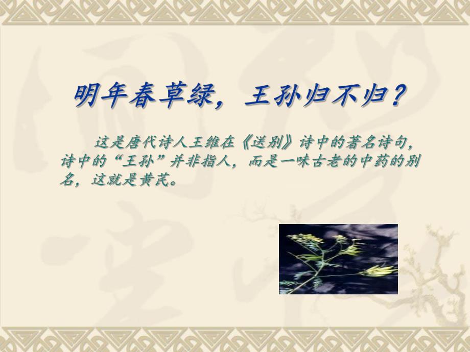 黄芪的功效ppt.ppt_第2页