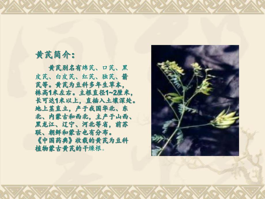 黄芪的功效ppt.ppt_第3页