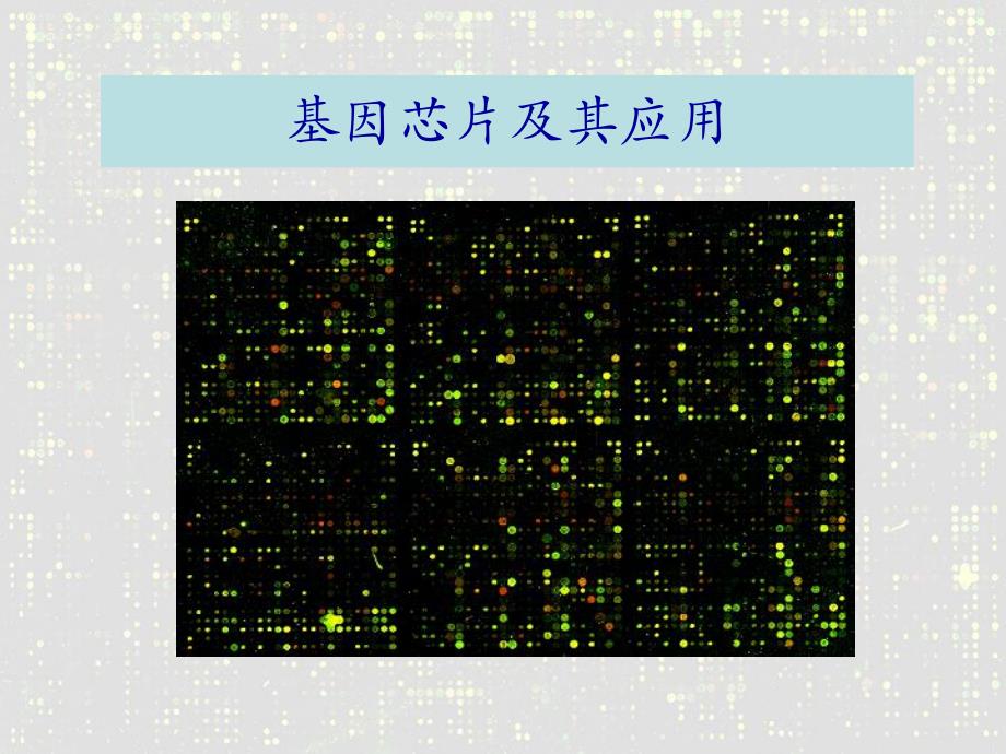 基因芯片.ppt.ppt_第1页