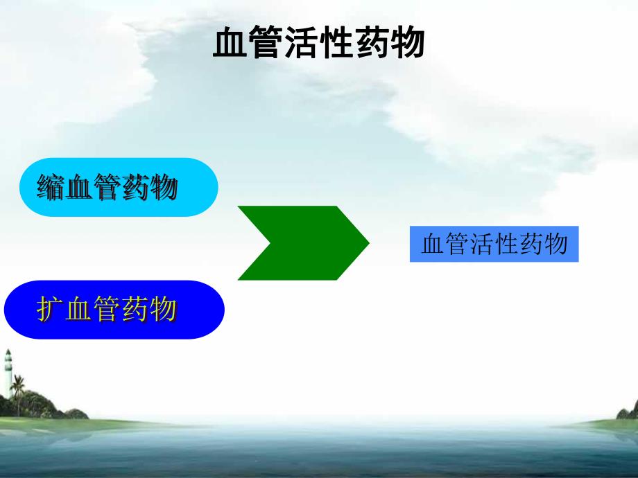 血管活性药物.ppt_第2页