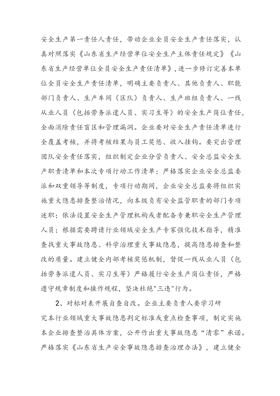 重大隐患专项治理行动实施方案模板.docx_第3页