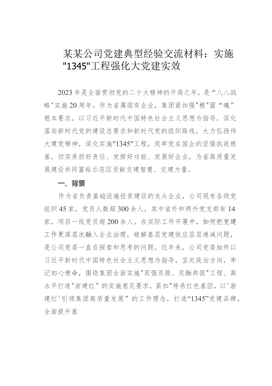 某某公司党建典型经验交流材料：实施“1345”工程强化大党建实效.docx_第1页