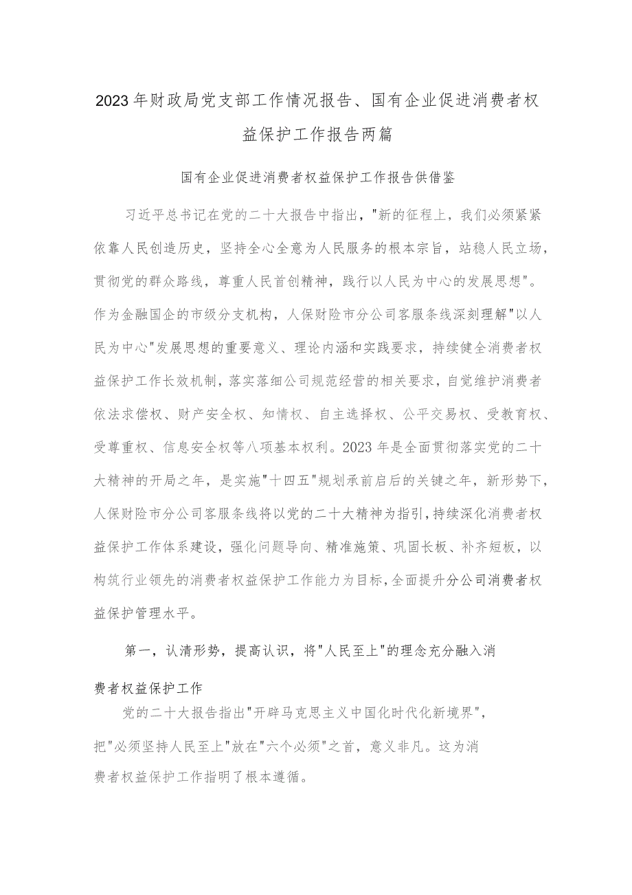 2023年财政局党支部工作情况报告、国有企业促进消费者权益保护工作报告两篇.docx_第1页