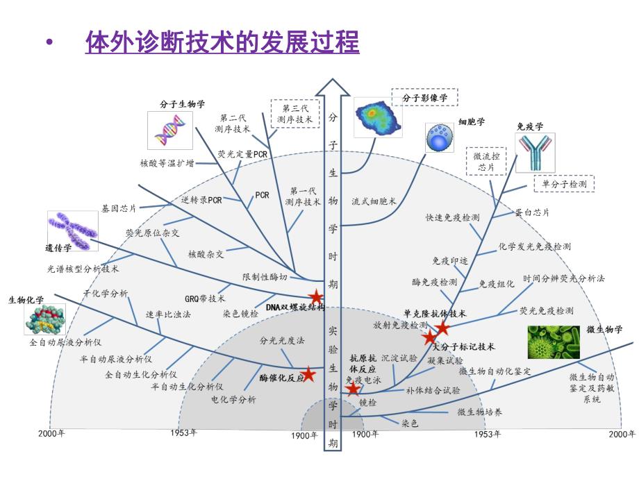 中国体外诊断技术的发展与创新.ppt_第3页