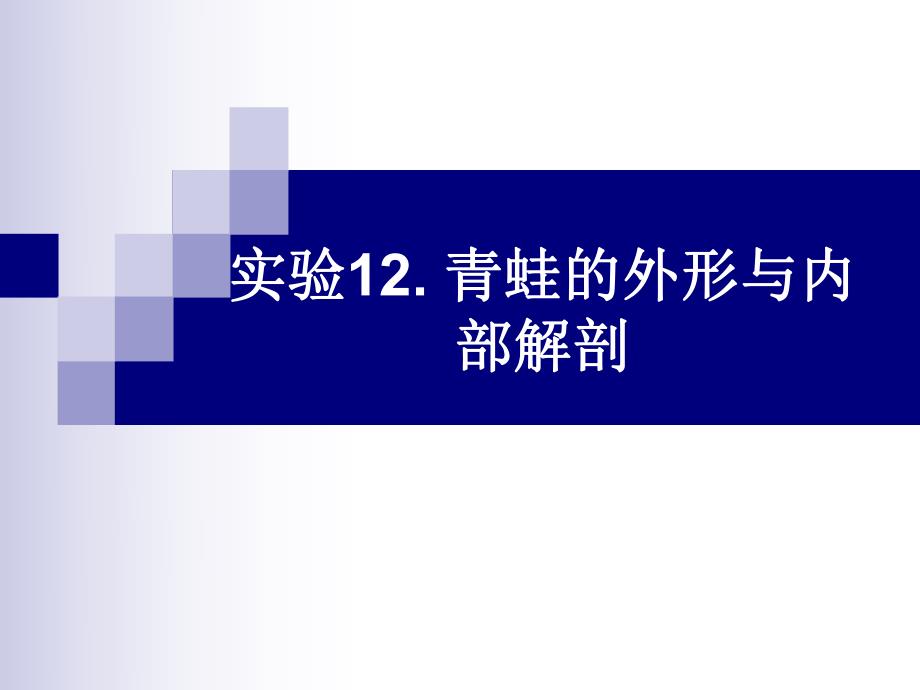 实验12.青蛙的外形与内部解剖.ppt.ppt_第1页