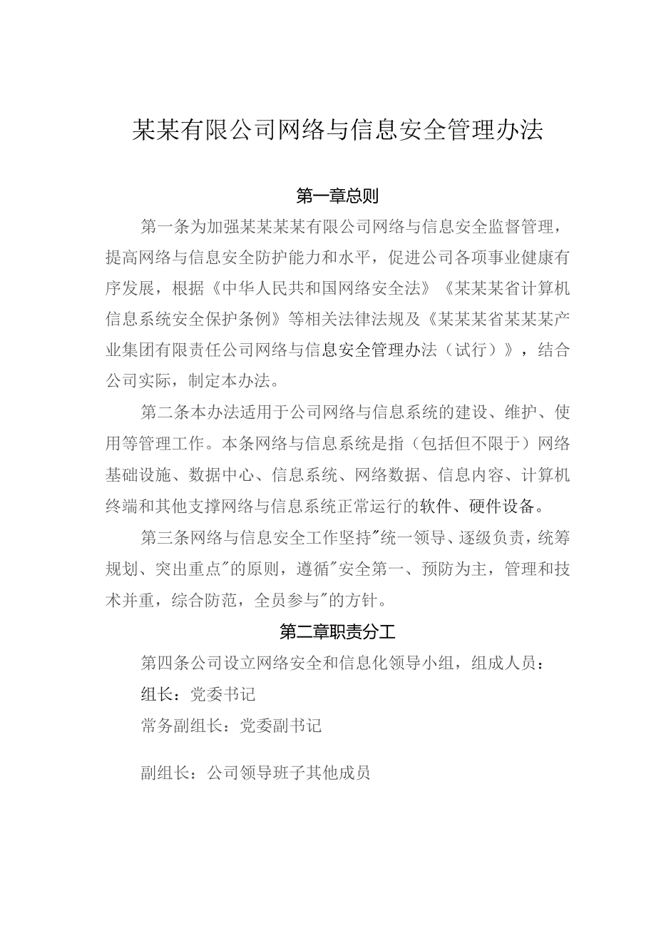 某某有限公司网络与信息安全管理办法.docx_第1页