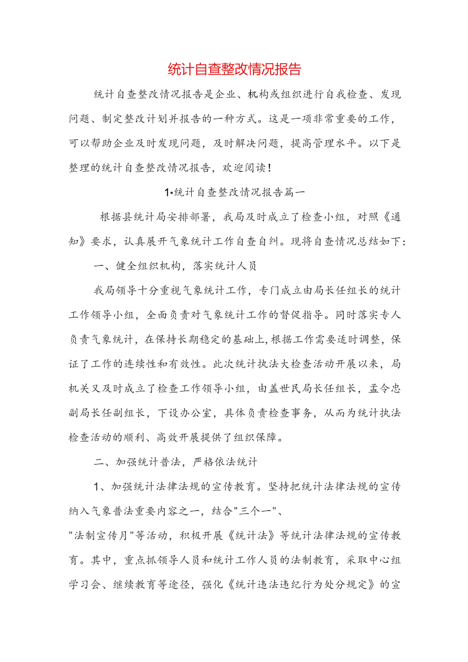 统计自查整改情况报告.docx_第1页