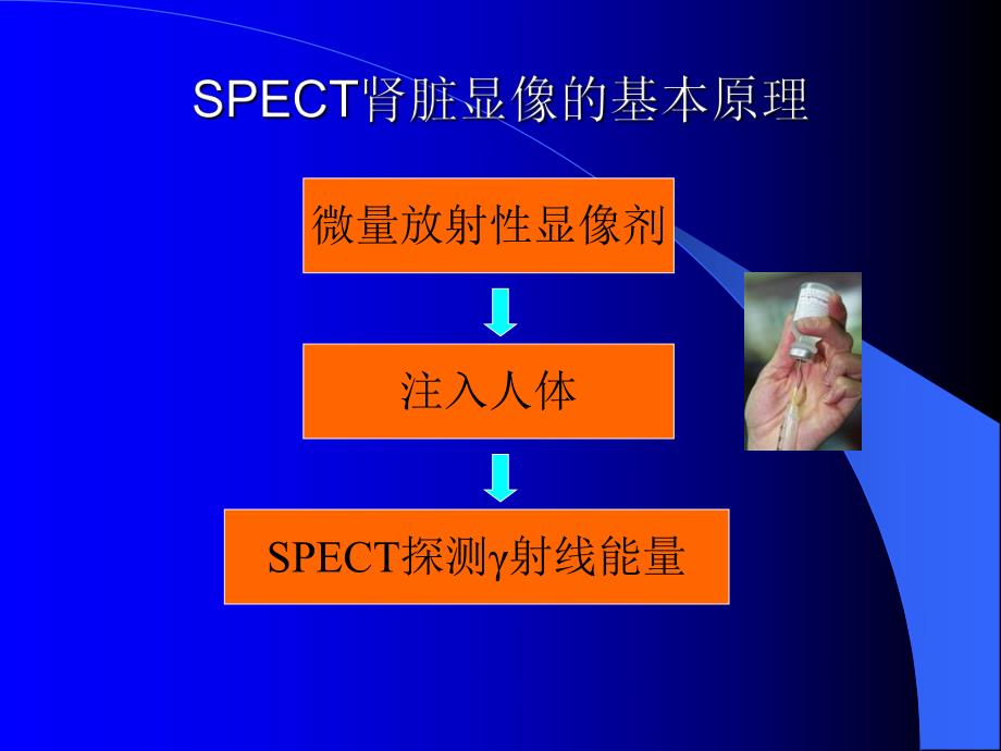 SPECT肾脏功能检测金指标诊.ppt_第2页