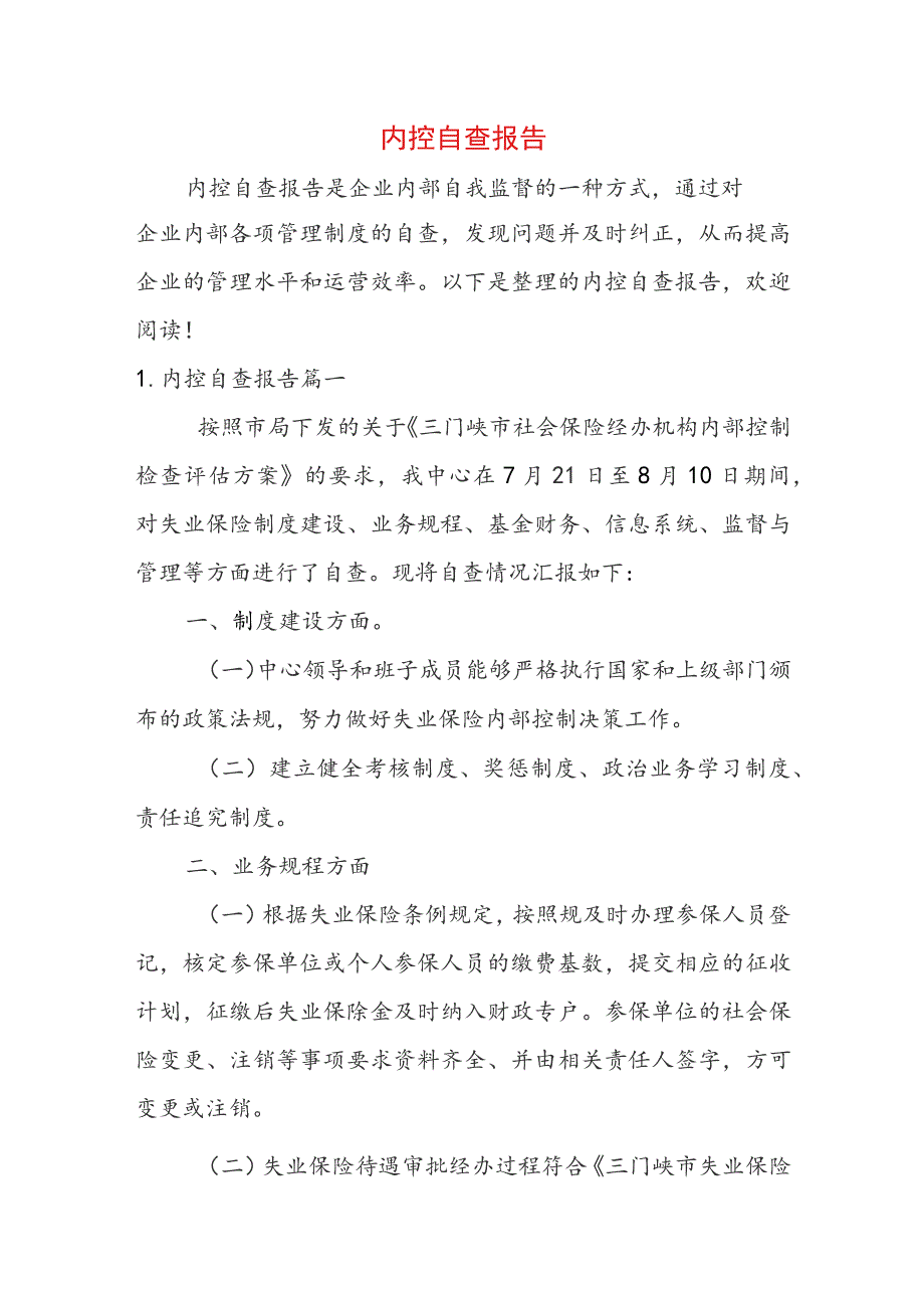 内控自查报告.docx_第1页