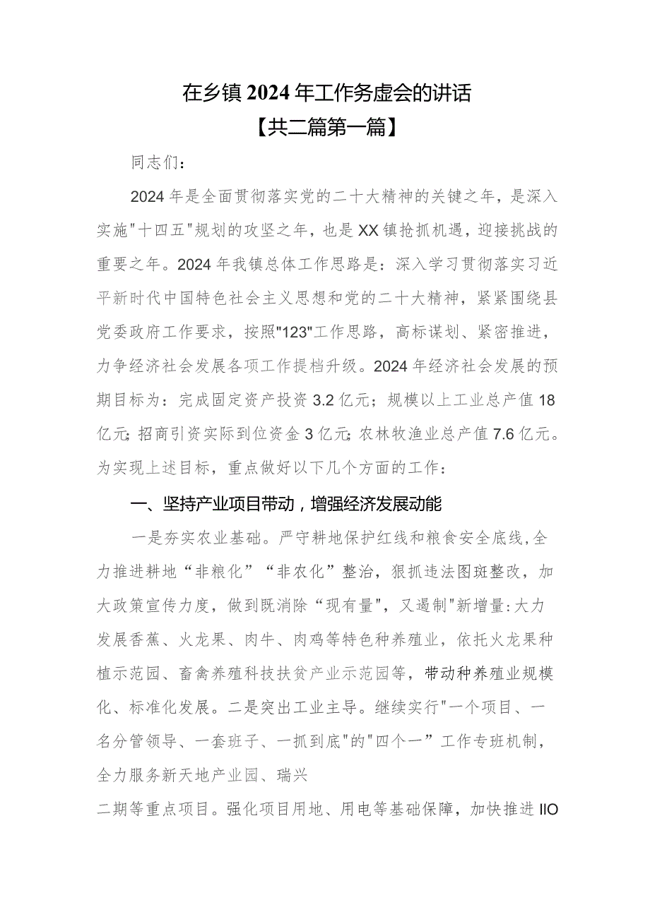 （2篇）在乡镇2024年工作务虚会的讲话.docx_第1页