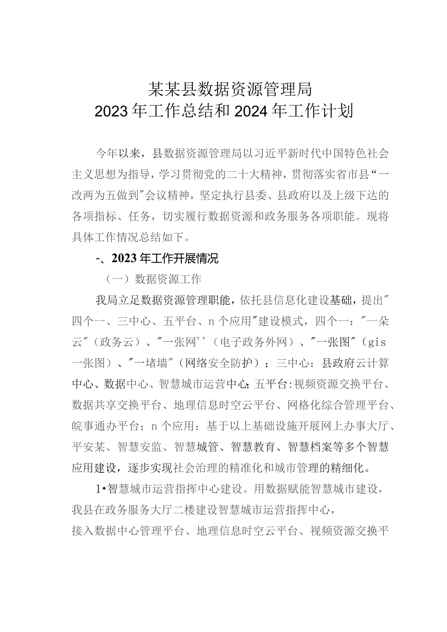 某某县数据资源管理局2023年工作总结和2024年工作计划.docx_第1页