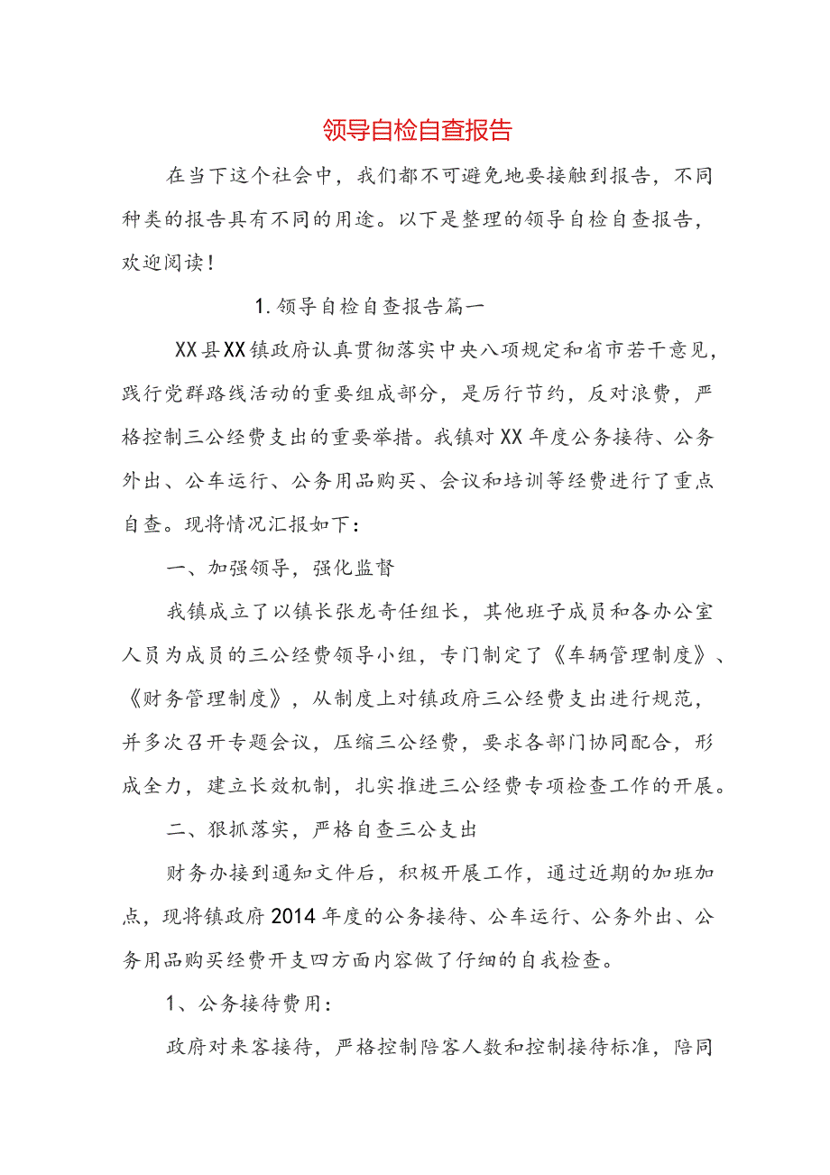 领导自检自查报告.docx_第1页