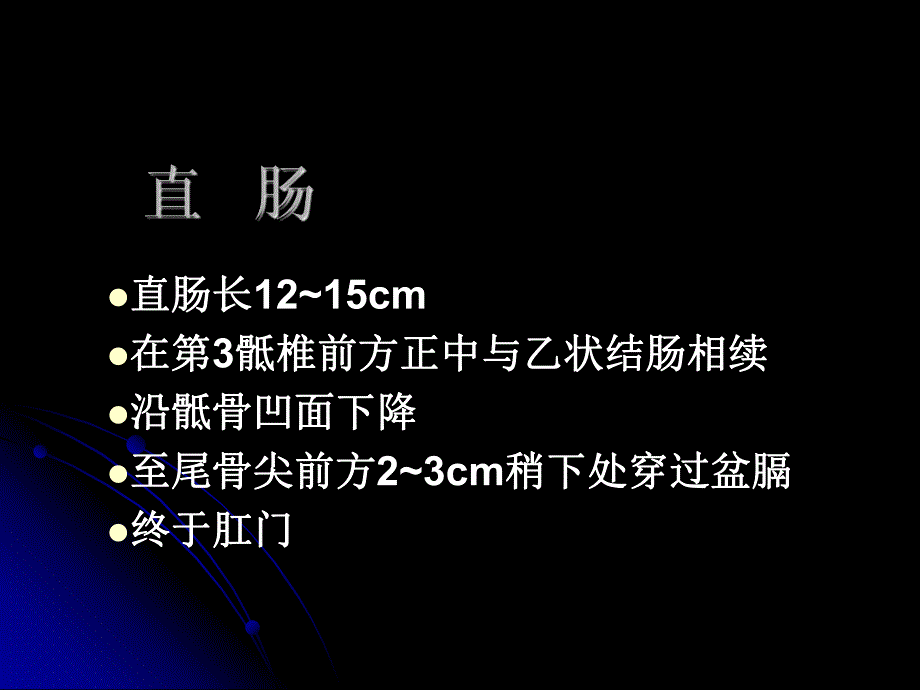 直肠肛管解剖（精品PPT） .ppt_第3页