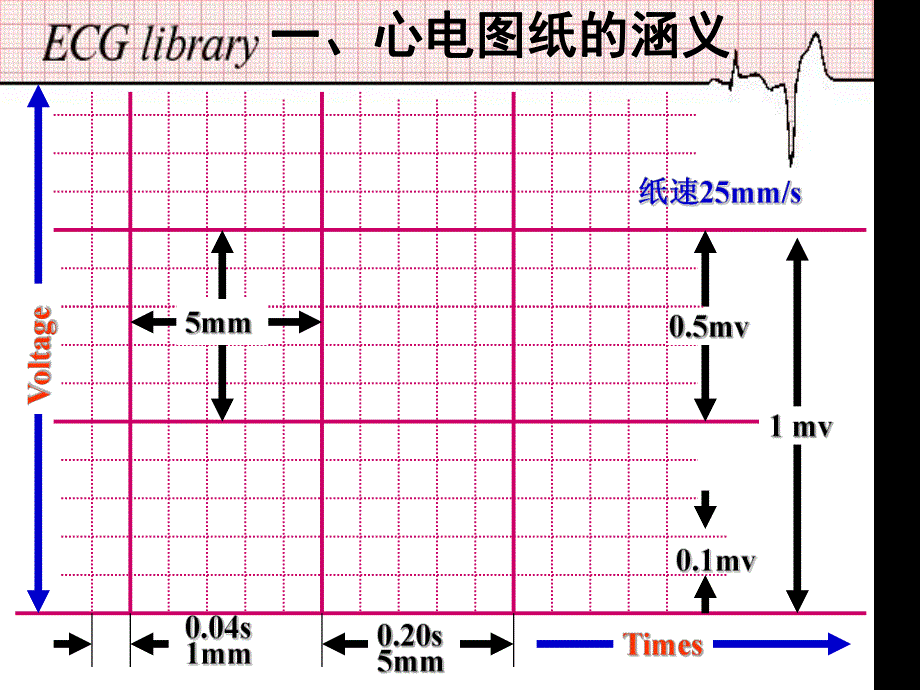 心电图幻灯片内一科[优质文档].ppt_第3页