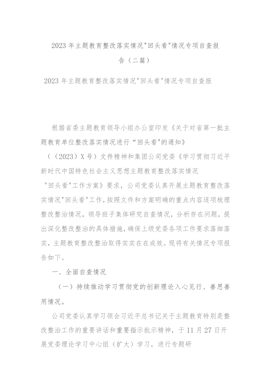 2023年主题教育整改落实情况“回头看”情况专项自查报告(二篇).docx_第1页