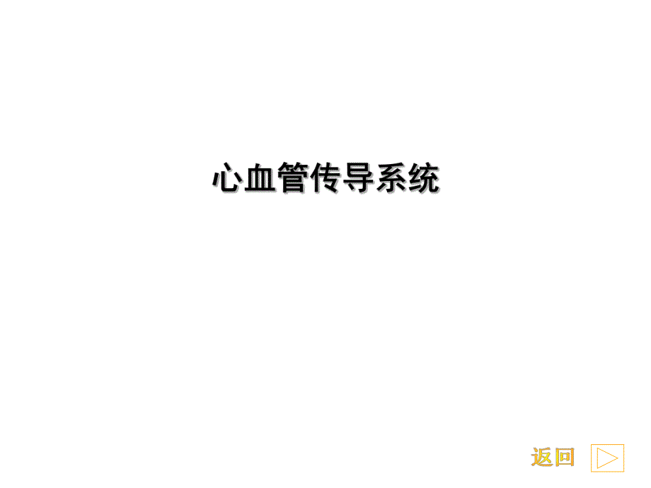 心电图基础知识1.ppt_第3页