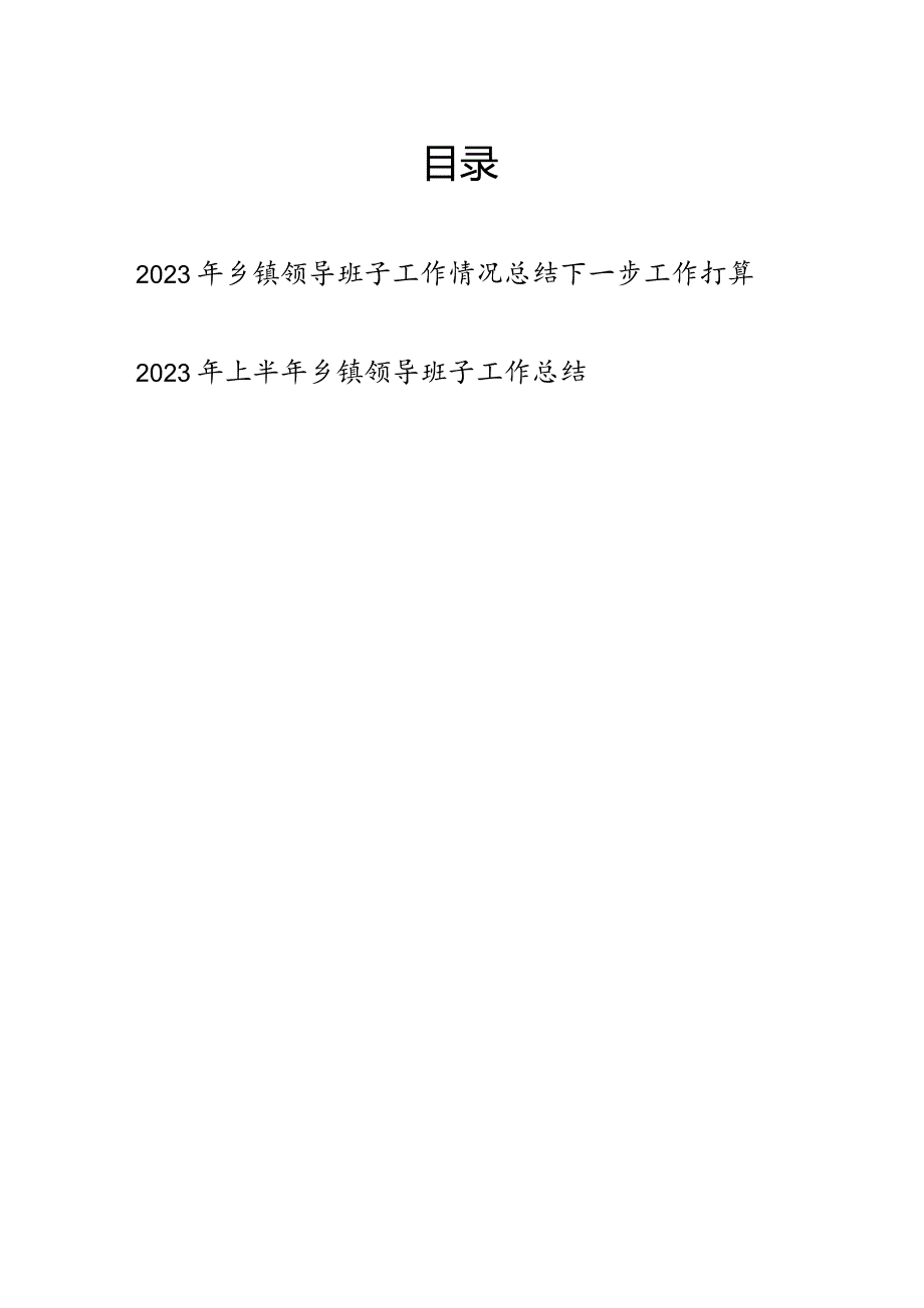 2023-2024年乡镇领导班子工作情况总结下一步工作打算.docx_第1页