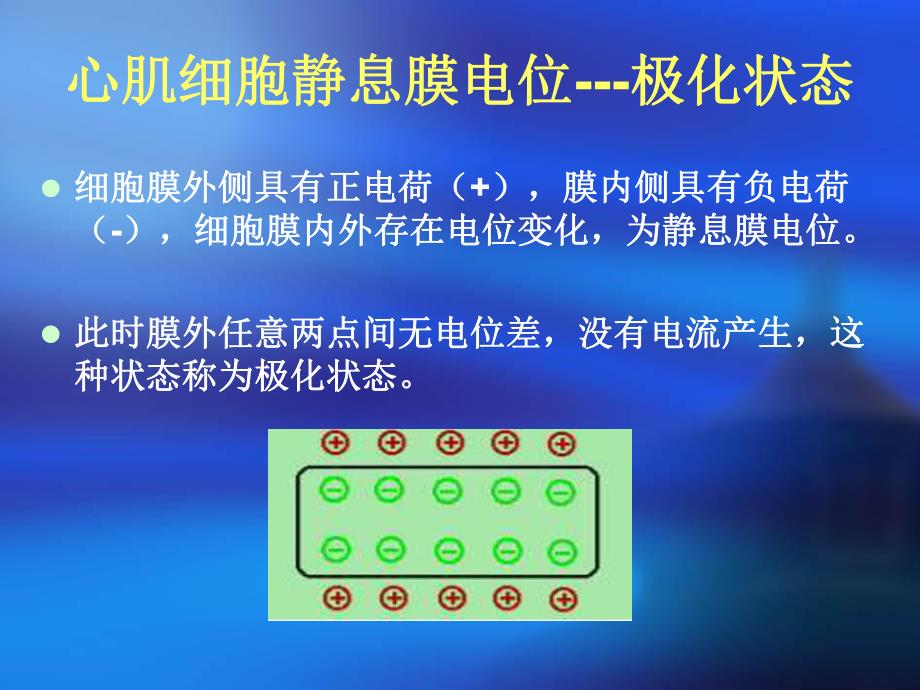 心电图基础知识.ppt_第3页