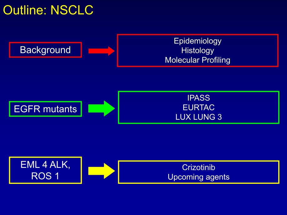 How I utilize mutational analysis in NSCLC Imedex：我如何利用突变分析NSCLCimedex.ppt_第2页