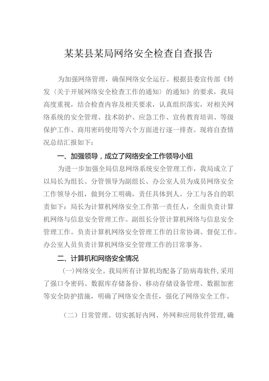 某某县某局网络安全检查自查报告.docx_第1页