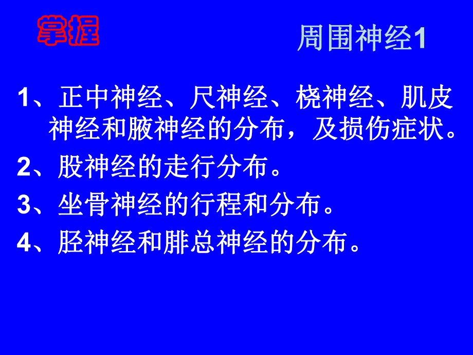 周围神经系统解剖.ppt_第3页