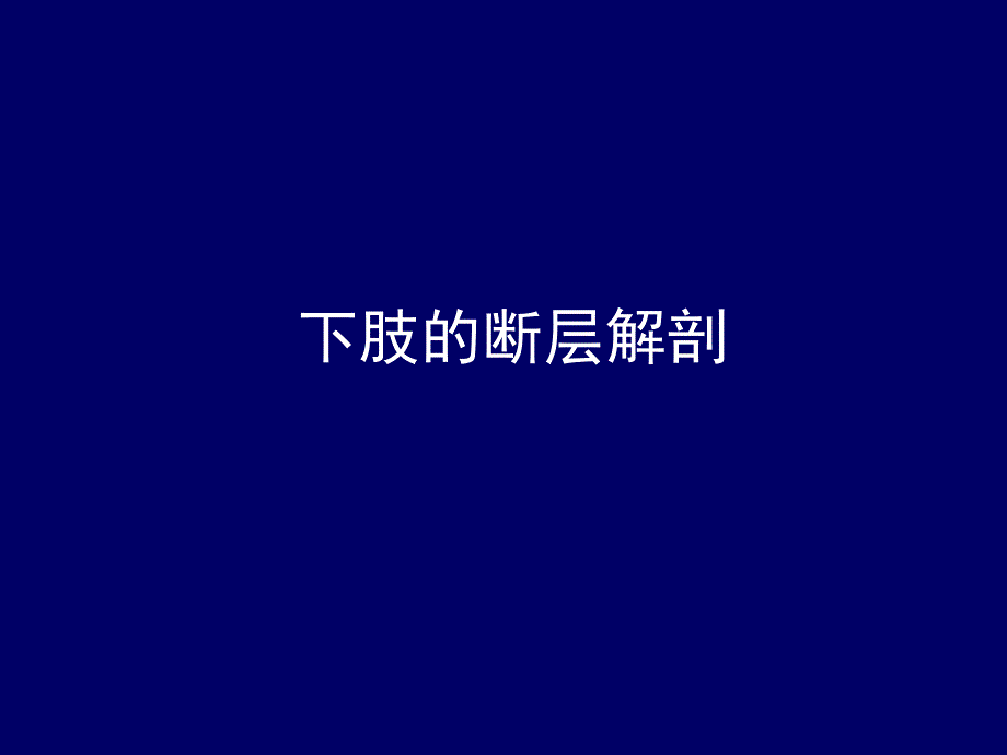 人体断层解剖学、下肢断层解剖.ppt_第1页