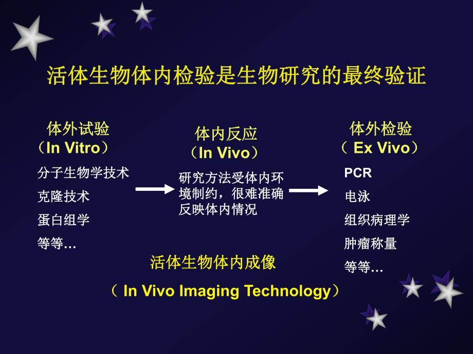 活体成像..ppt_第2页