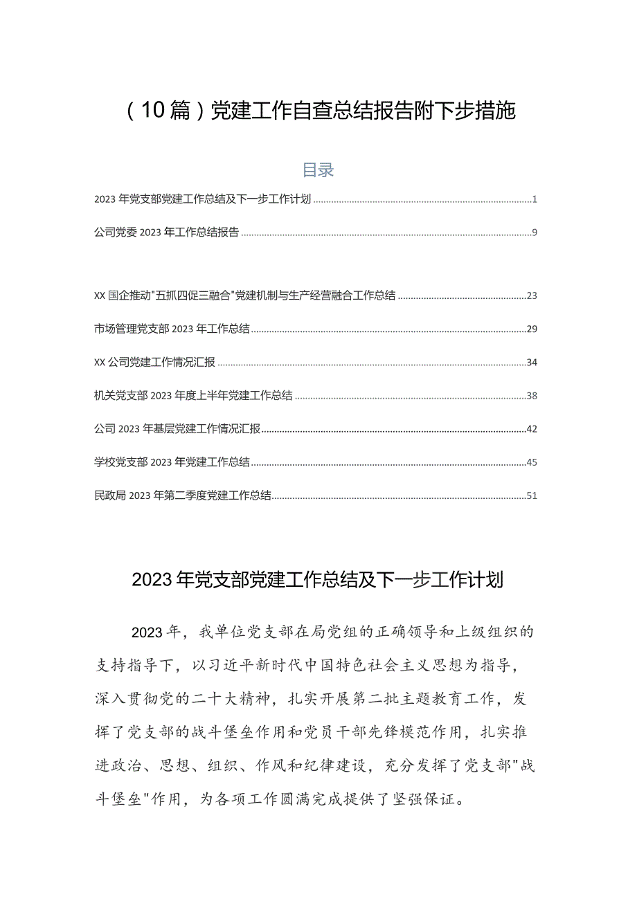 （10篇）党建工作自查总结报告附下步措施.docx_第1页