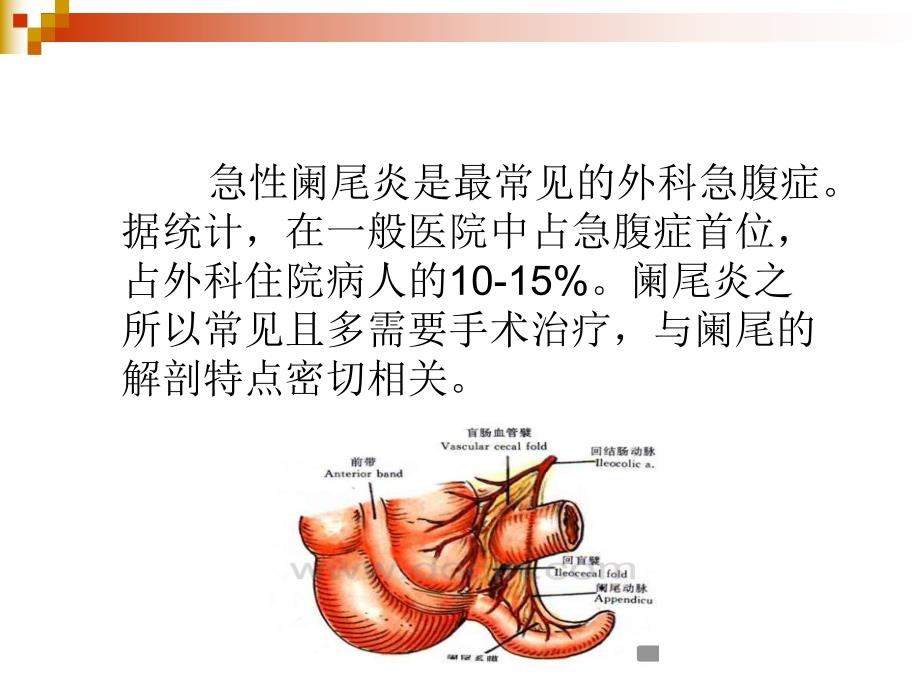 [医药]急性阑尾炎的CT诊断.ppt_第2页