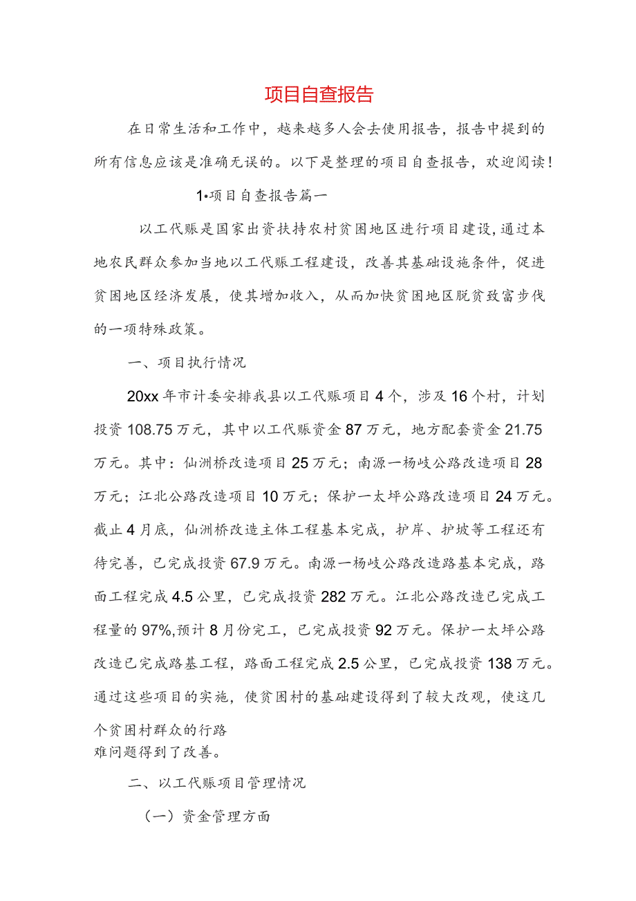 项目自查报告.docx_第1页