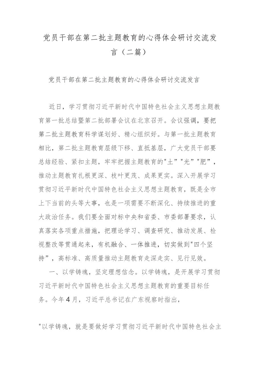 党员干部在第二批主题教育的心得体会研讨交流发言(二篇).docx_第1页