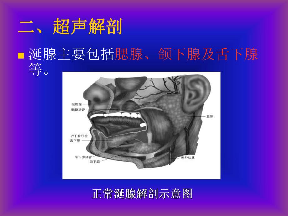 医学超声影像学涎腺及淋巴结超声诊断.ppt_第3页