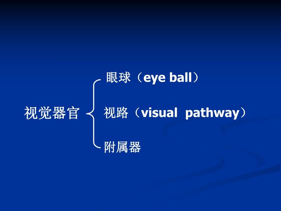 眼的应用解剖生理.ppt_第2页